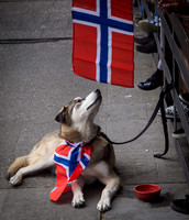 Syttende Mai Parade May 2012 Pre Parade Pictures-3