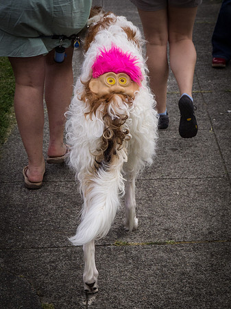 Syttende Mai Parade May 2012 Pre Parade Pictures-38