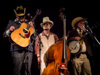 The Cleverly's @ Wintergrass 2013-8