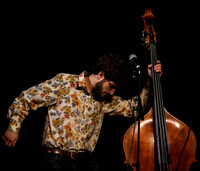 The Deadly Gentlemen @ Wintergrass 2013-8