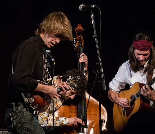 The Deadly Gentlemen @ Wintergrass 2013-12