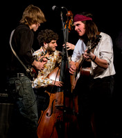 The Deadly Gentlemen @ Wintergrass 2013-5