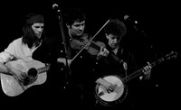 The Deadly Gentlemen @ Wintergrass 2013-15