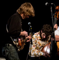 The Deadly Gentlemen @ Wintergrass 2013-6