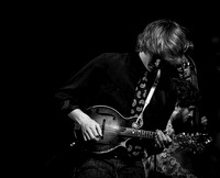 The Deadly Gentlemen @ Wintergrass 2013-10