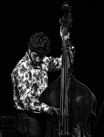 The Deadly Gentlemen @ Wintergrass 2013-22