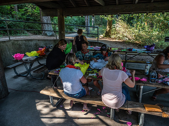 Adult Summer Camp 2018 Set 1-18