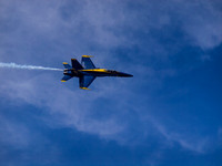 The Blue Angels @ Lake Washington 2012 Seafair-7