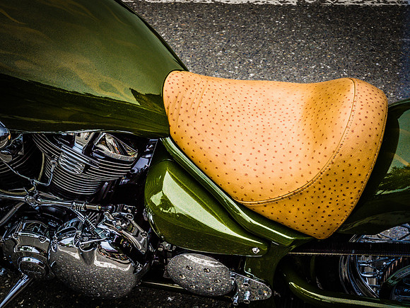 Snohomish Motorcycle Show 2012-12