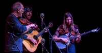 Molsky's Mountain Drifters Wintergrass 2019-10
