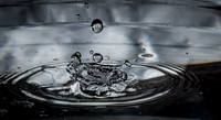 Waterdrops 3-10-19