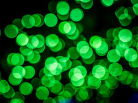 Christmas Lights @ The Tulalip Casino Christmas 2023 Set 2