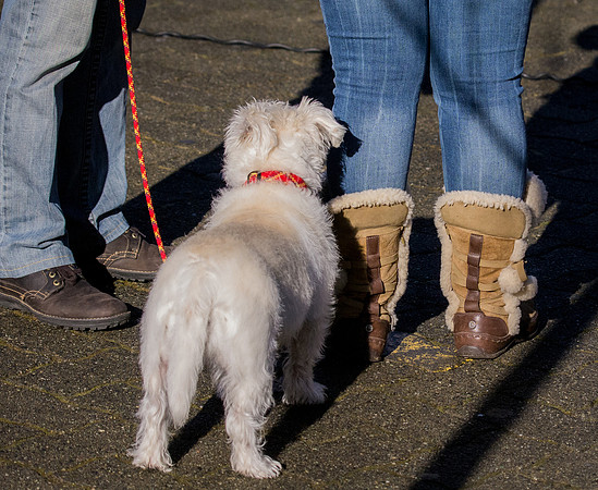 boots-4