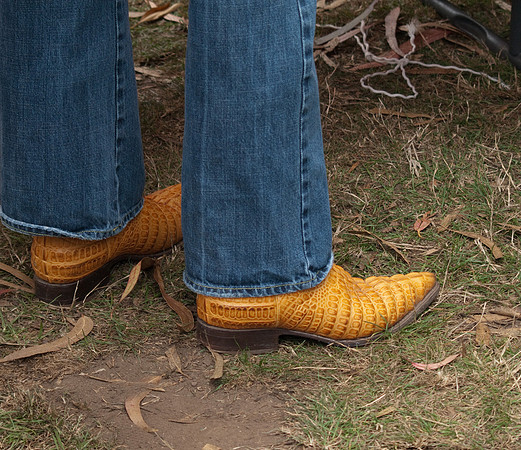 The Boots of Hardly Strictly-4