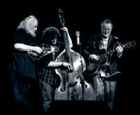 David Grisman, Danny Barnes & Sam Grisman @ Wintergrass 2018-14