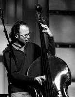 Druha Trava@ Wintergrass 2012-6