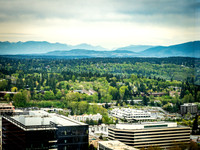 Forest Ridge @ Ascend 4-25-19-11