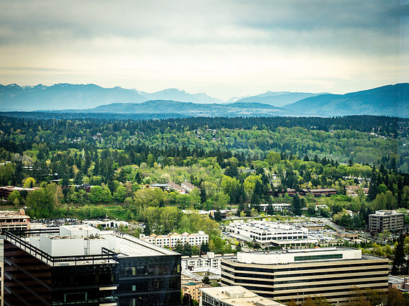 Forest Ridge @ Ascend 4-25-19-11