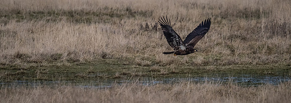 Skagit Valley 1-21-19-13