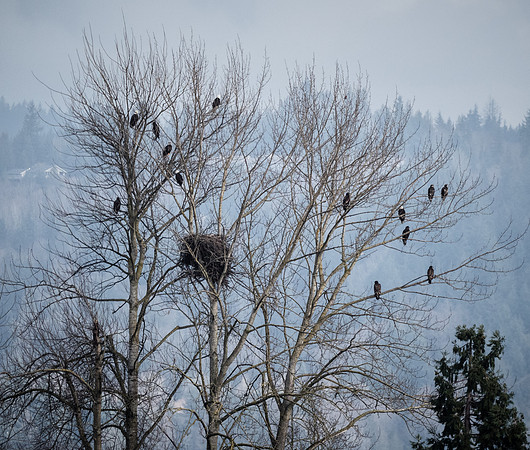 Skagit Valley 1-21-19-30