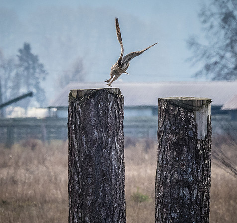 Skagit Valley 1-21-19-22