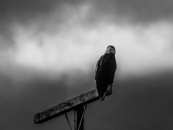Skagit Valley 1-21-19-29