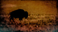 bison barn texturized