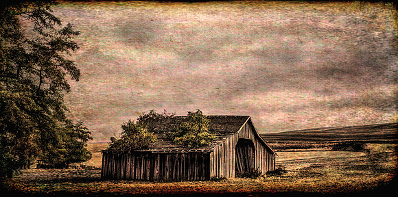 walla walla barn texturized