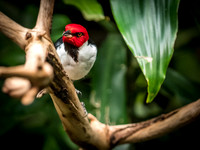 Woodland Park Zoo 3-30-19-19