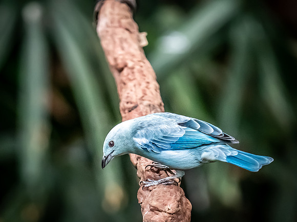 Woodland Park Zoo 3-30-19-7