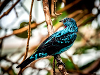 Woodland Park Zoo 3-30-19-13