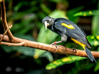 Woodland Park Zoo 3-30-19-4