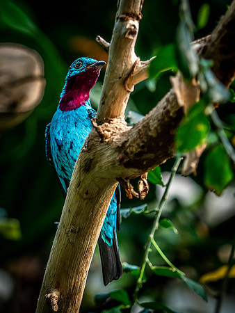 Woodland Park Zoo 3-30-19-12