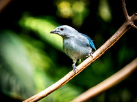 Woodland Park Zoo 3-30-19-14
