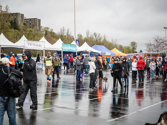 MS Walk 2018-39