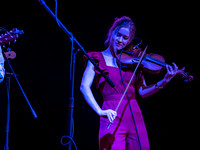 Wintergrass 2019 Sugar and The Mint-3
