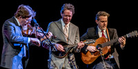 Hot Rize @ Wintergrass 2017 Set 2-2