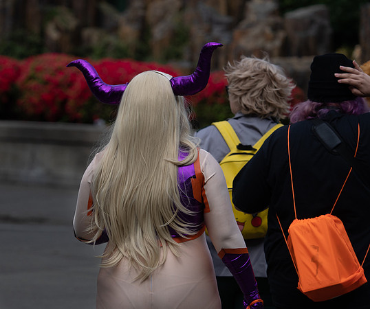 Sakura-Con 2019 Set 1-44