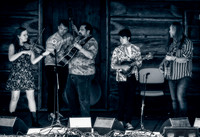 Jeff Scroggins & Colorado @ Darrington Bluegrass Festival 2019