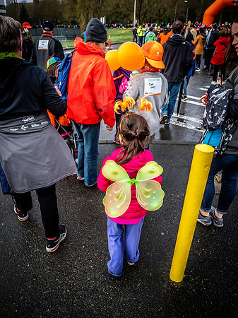 MS Walk 2019-38