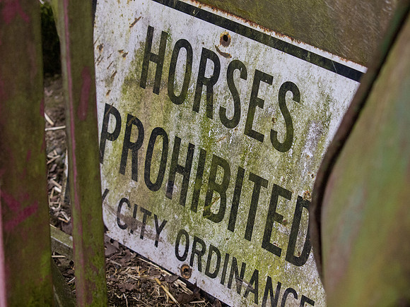 The Arlington Kangaroo Farm_-11