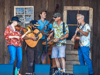 Union City Council Band @ Bluegrass From the Forest 2026