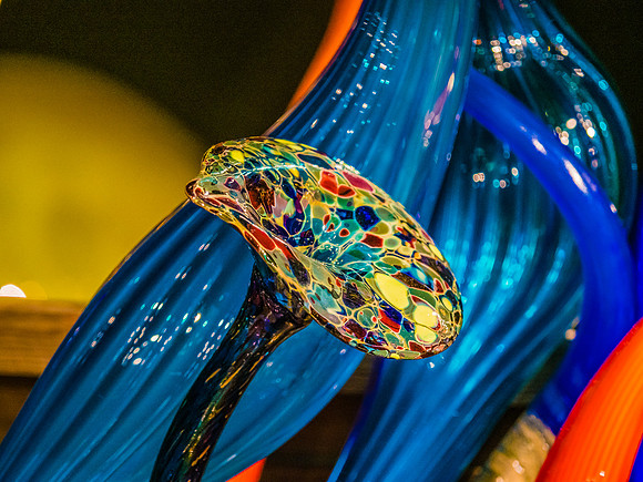 Chihuly Garden and Glass Set 2-24