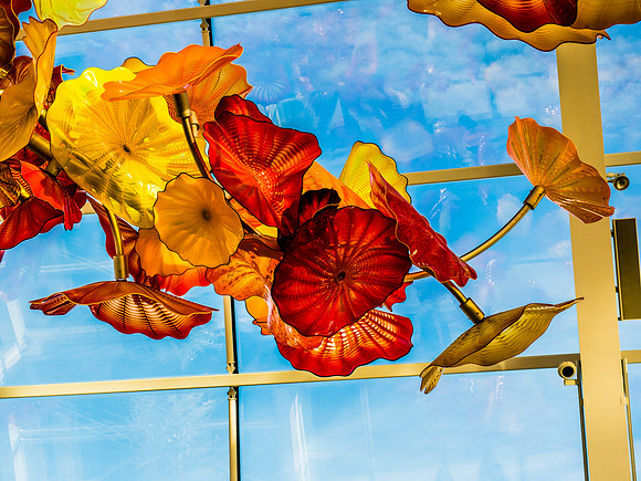 Chihuly Garden and Glass Set 3-18