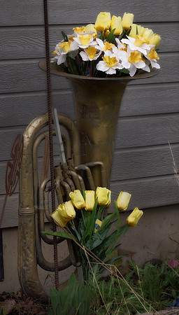 Bellingham Volkswalk 2-20-12-23