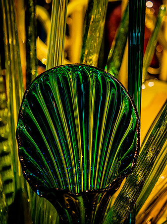 Chihuly Garden and Glass Set 2-21