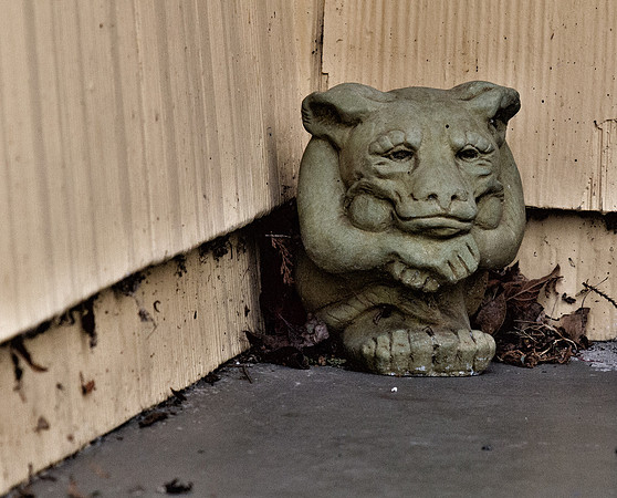 Bellingham Volkswalk 2-20-12-24