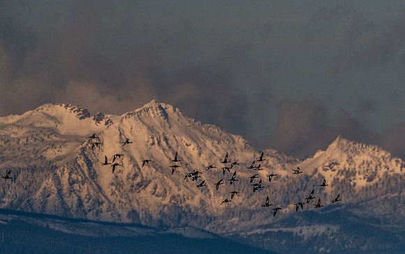 Skagit Valley 2-17-19-15