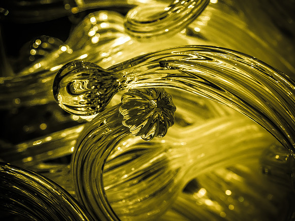Chihuly Garden and Glass Set 3-6