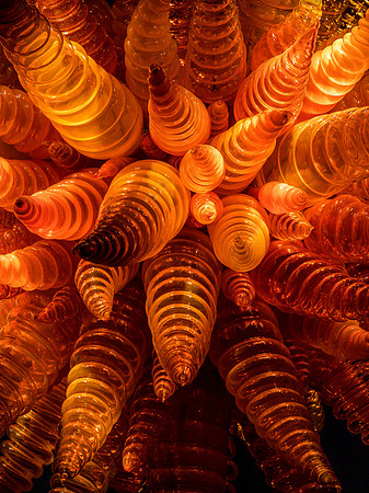 Chihuly Garden and Glass Set 2-29